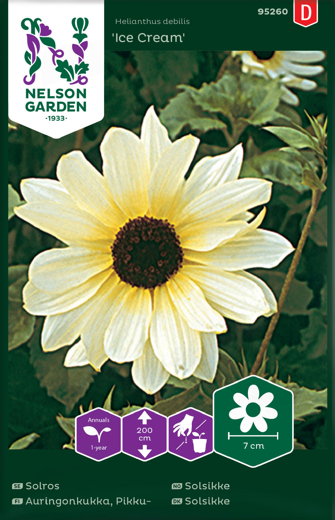 Solsikke 'Ice Cream'